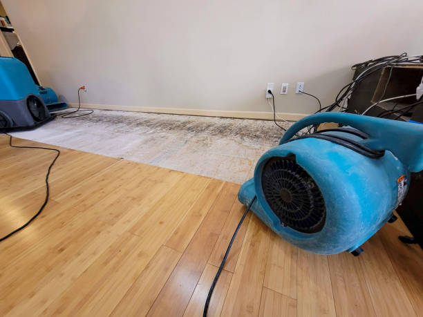 Professional Flood Damage Cleanup technician working in Creighton, NE